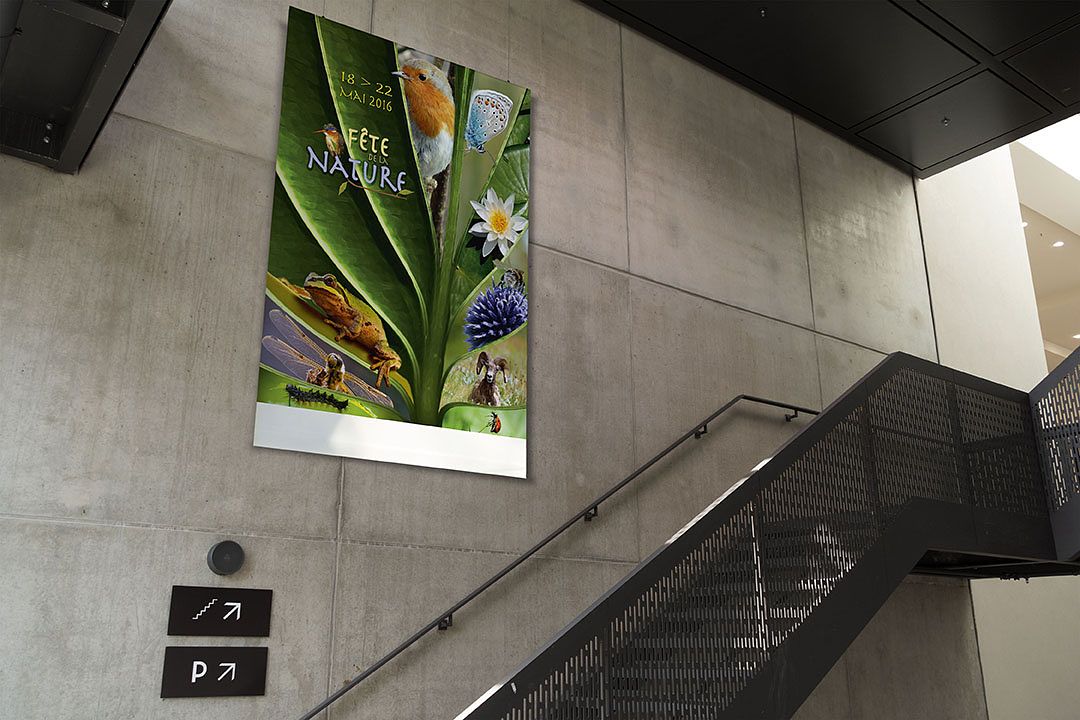 Affiche fête de la Nature