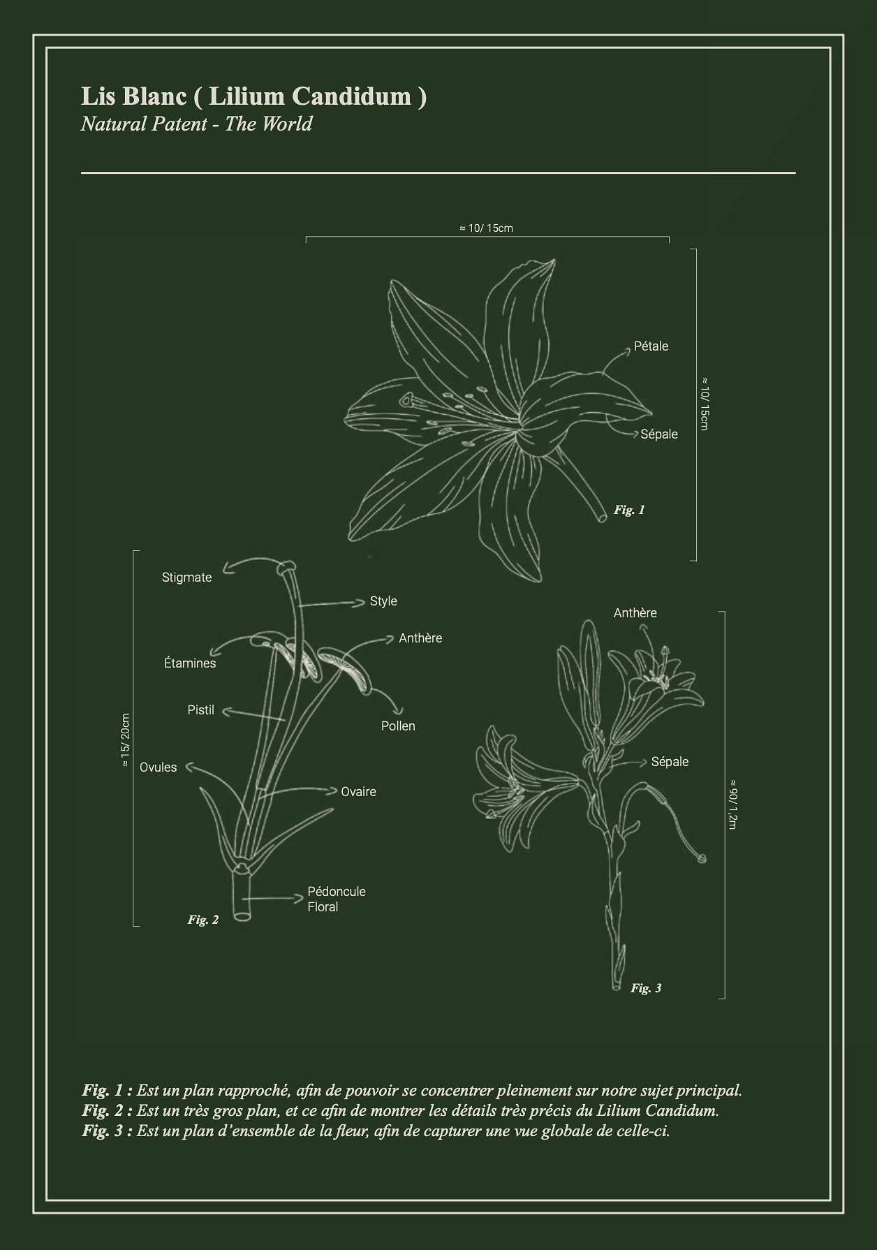 Affiche technique – Création graphique