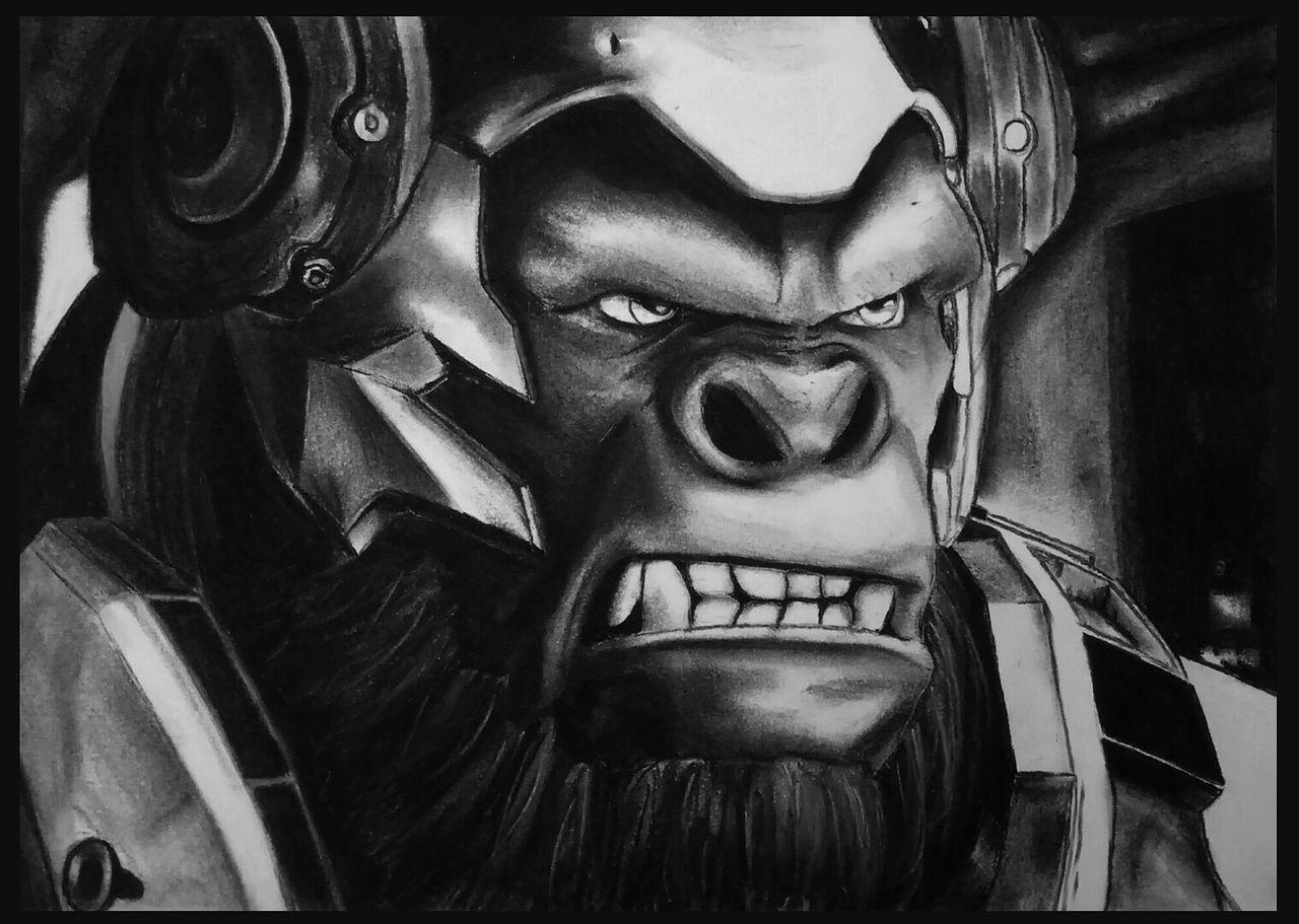 Overwatch Fan art (fusain)