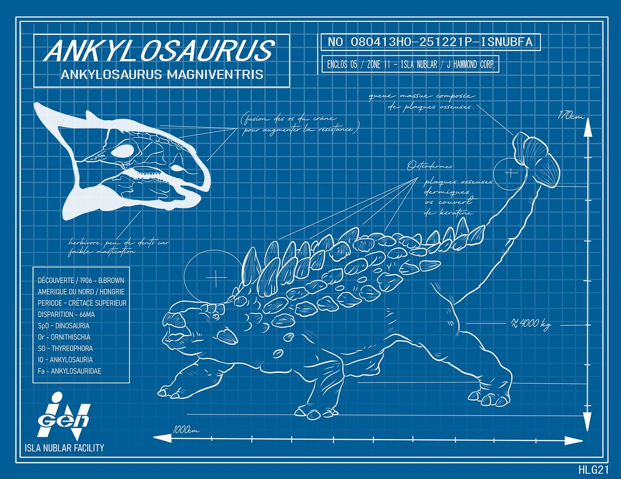 Ankylosaurus