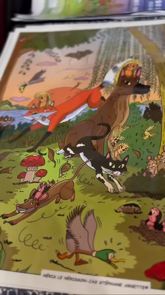 Les album bd Néris le hérisson