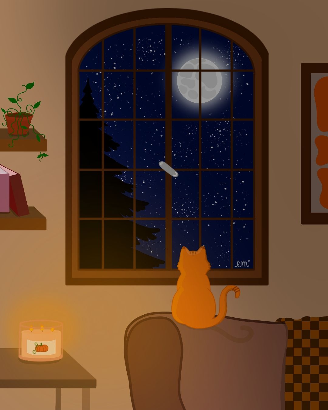 Contemplation nocturne