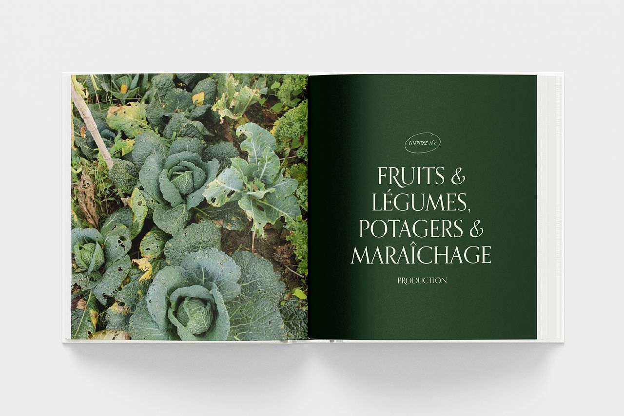 Livre - Gastronomie du jardin de la france