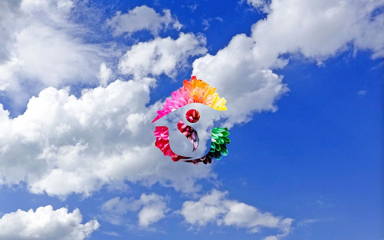 DOM&VIE - FOND D'ECRAN