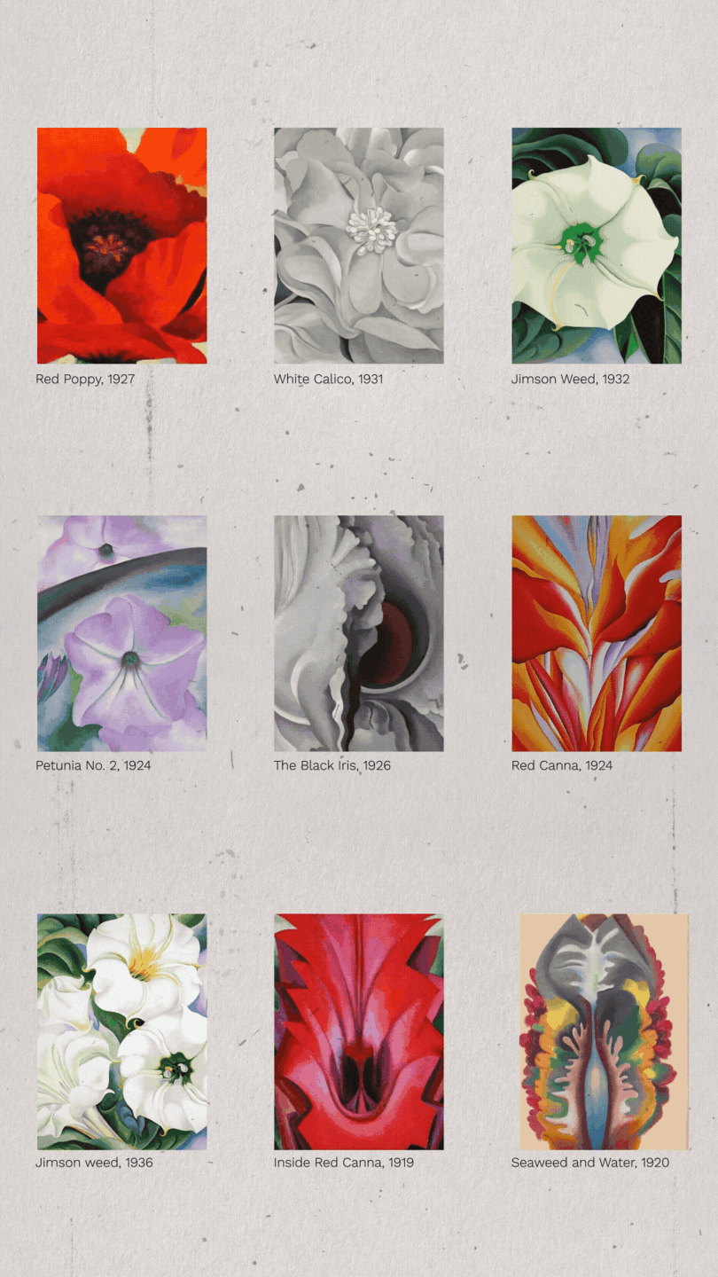 Georgia O'Keeffe Fleurs