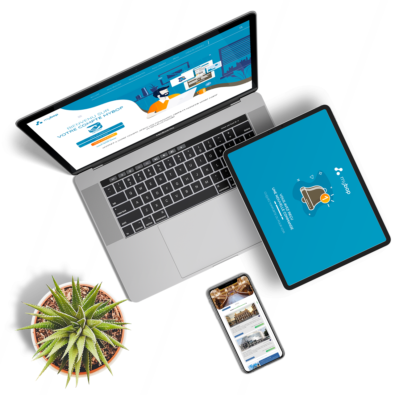 Web Design