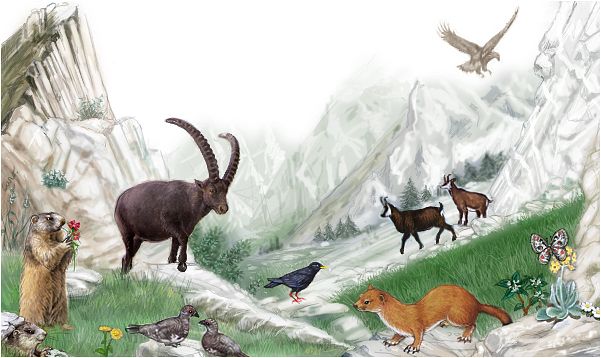 Illustration La montagne