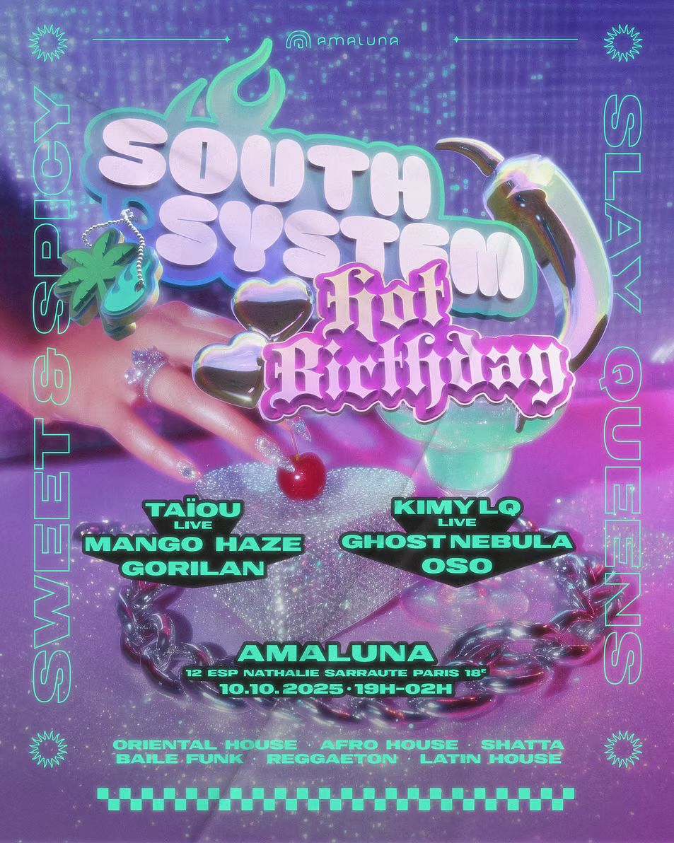 Affiche "South System" pour la soirée Hot birthday
