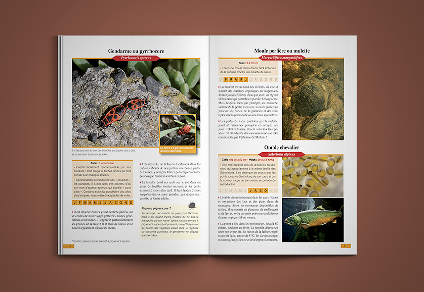 Extrait d'un guide animalier (Auvergne).