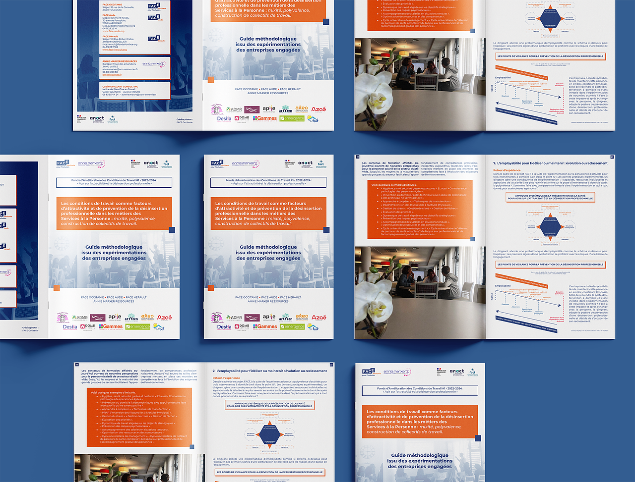 Brochure FACE Occitanie