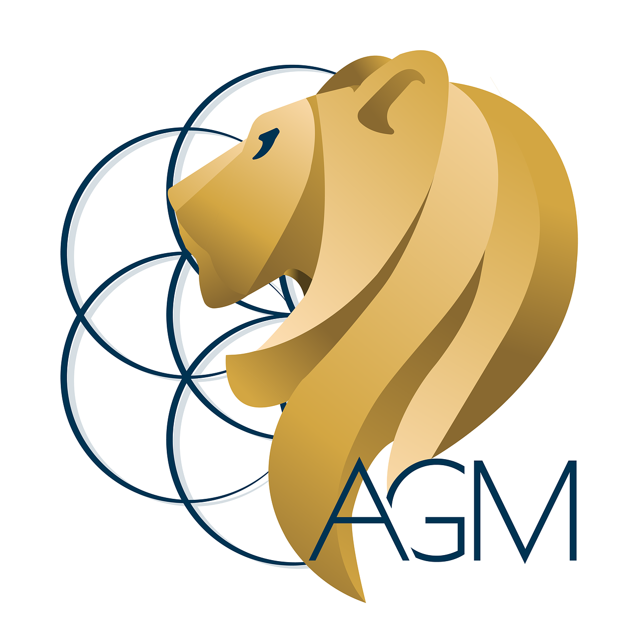 AGM, Agencement Graphisme et Maîtrise d'Oeuvre