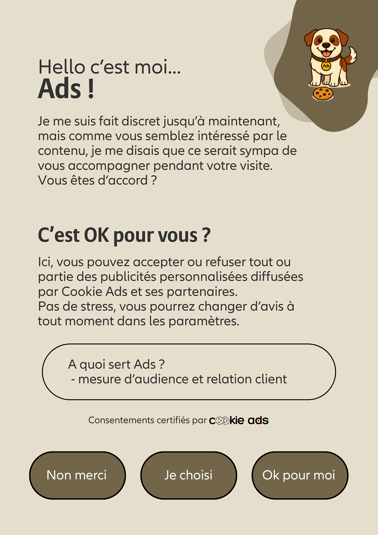 Pop up cookie - website