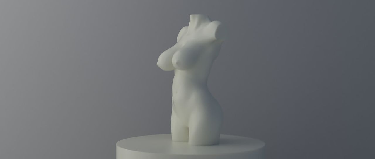 Study of woman bust