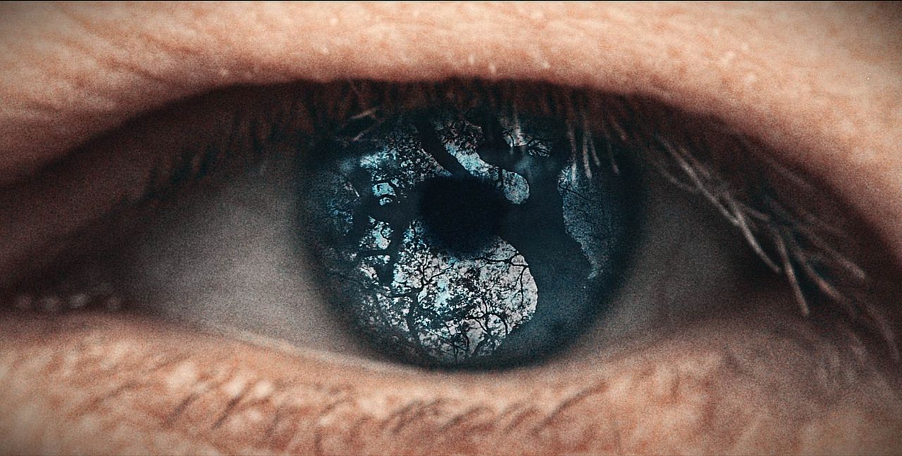 MONTAGE CRÉATIF ARTISTIQUE