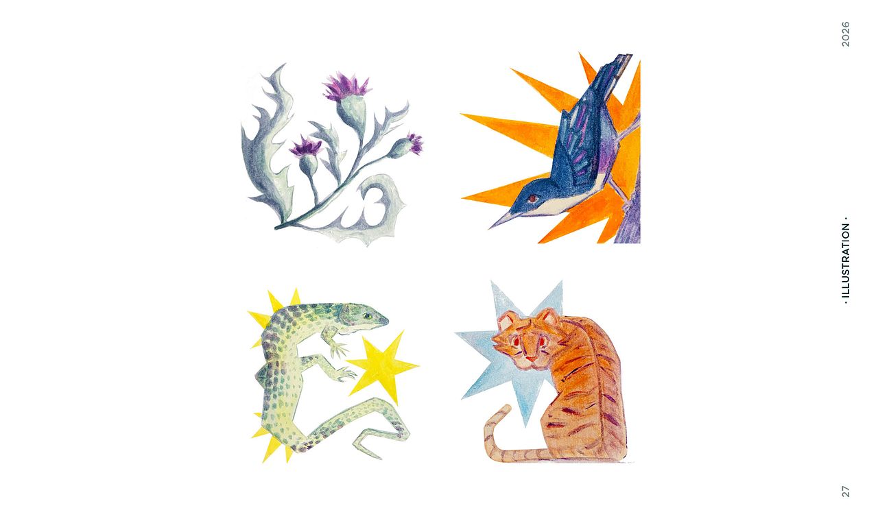 Illustrations