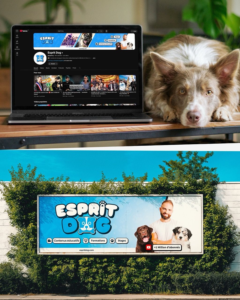 Esprit Dog