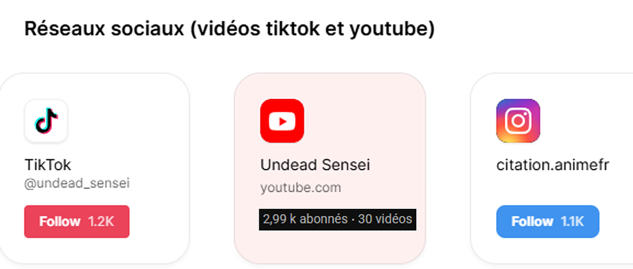 Abonnés réseaux sociaux