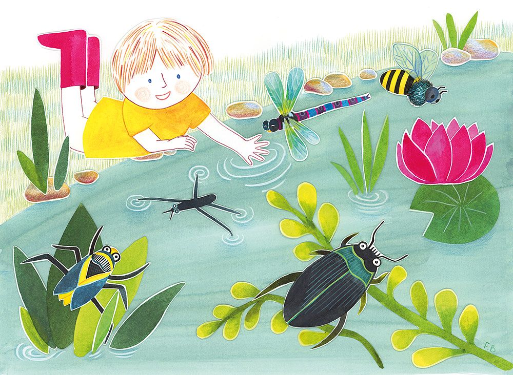 Illustratrice jeunesse