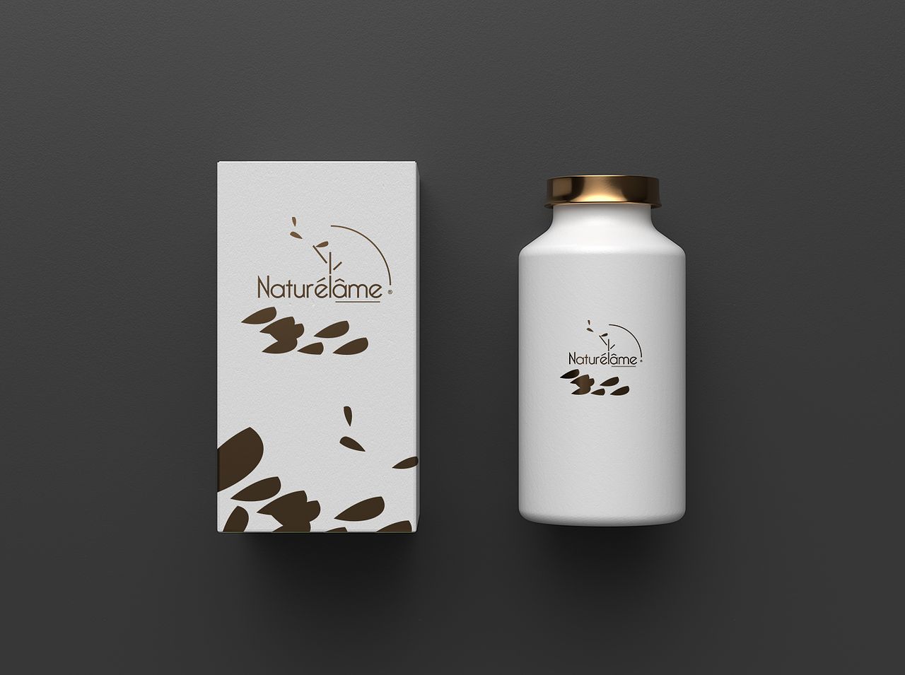 Création identité visuelle