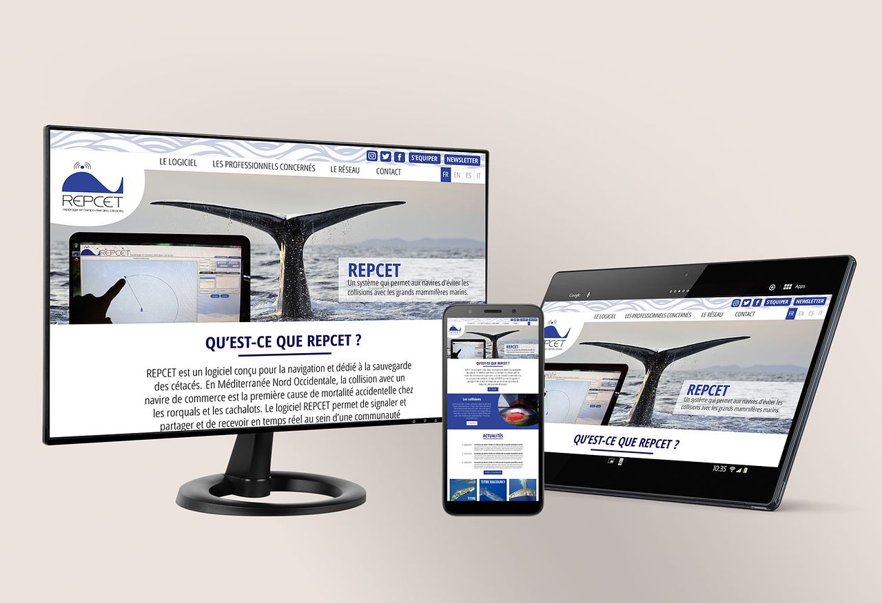Site REPCET