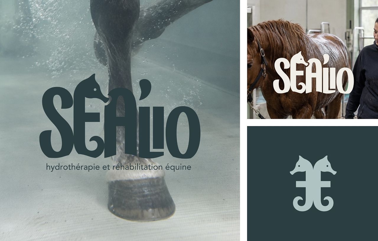 SEALIO | Identité visuelle