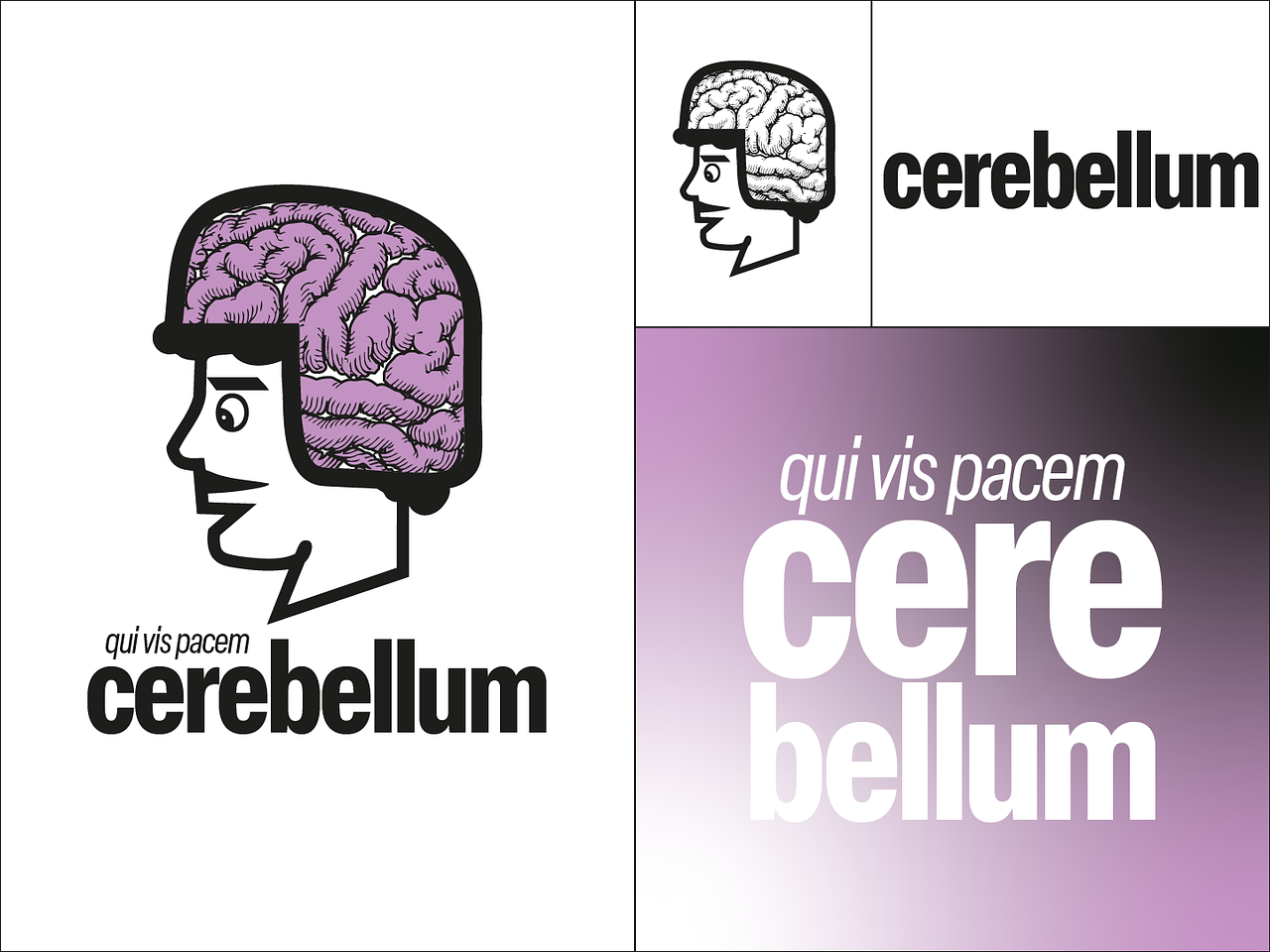 Brand Display - Cerebellum