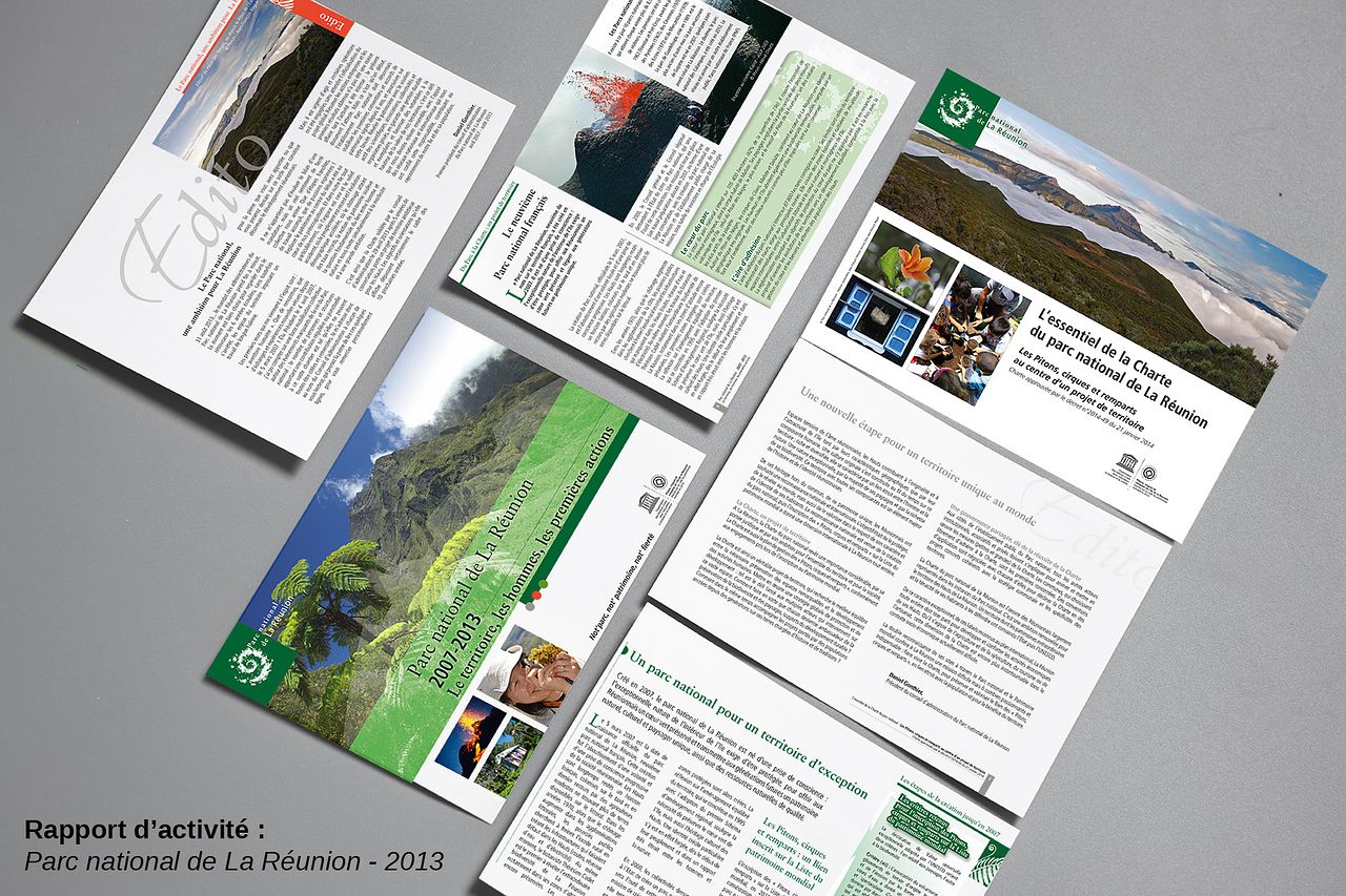 Rapport d'activité Parc national de La Réunion