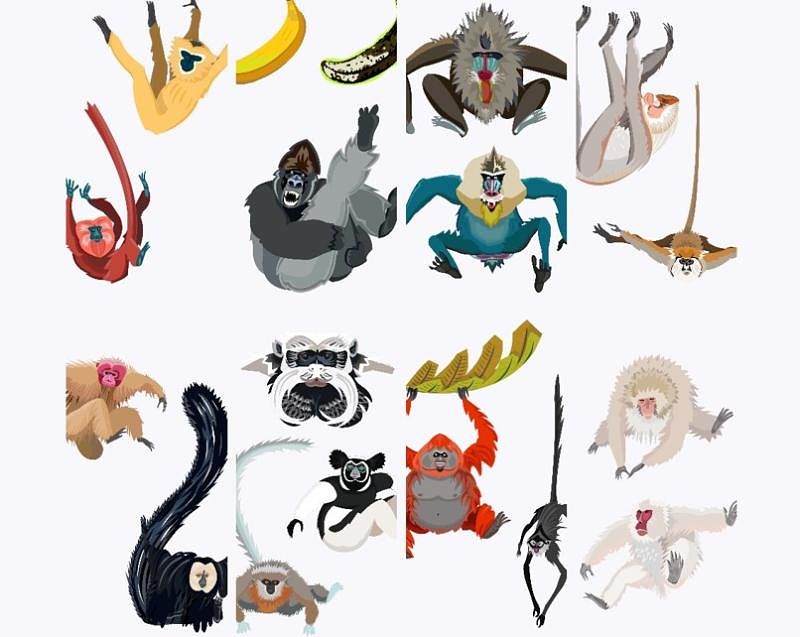 Illustrations Primates pour jeu vidéo