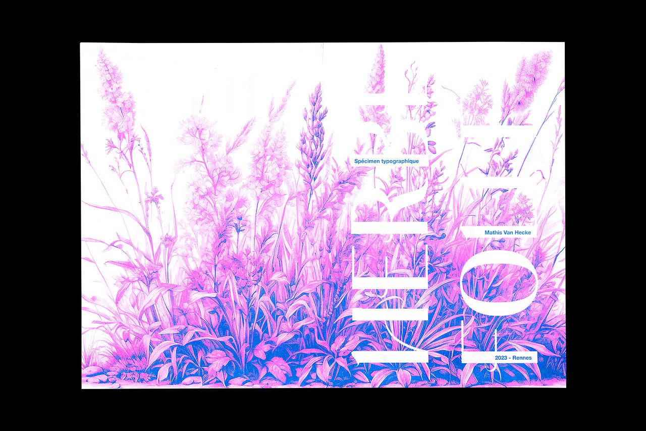 HERBE FOLLE — typeface