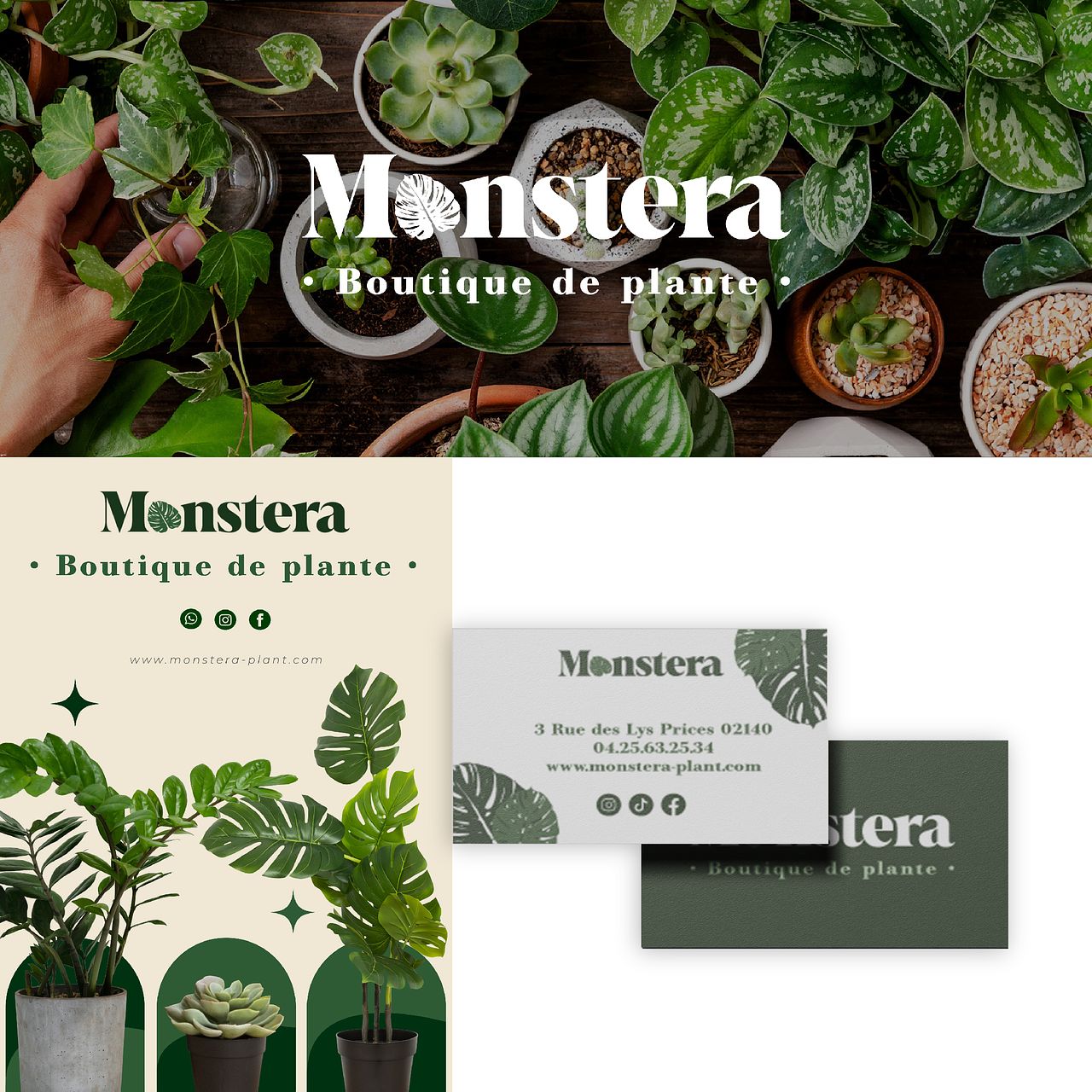 Monstera