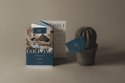 Flyer & Brochure - Vila