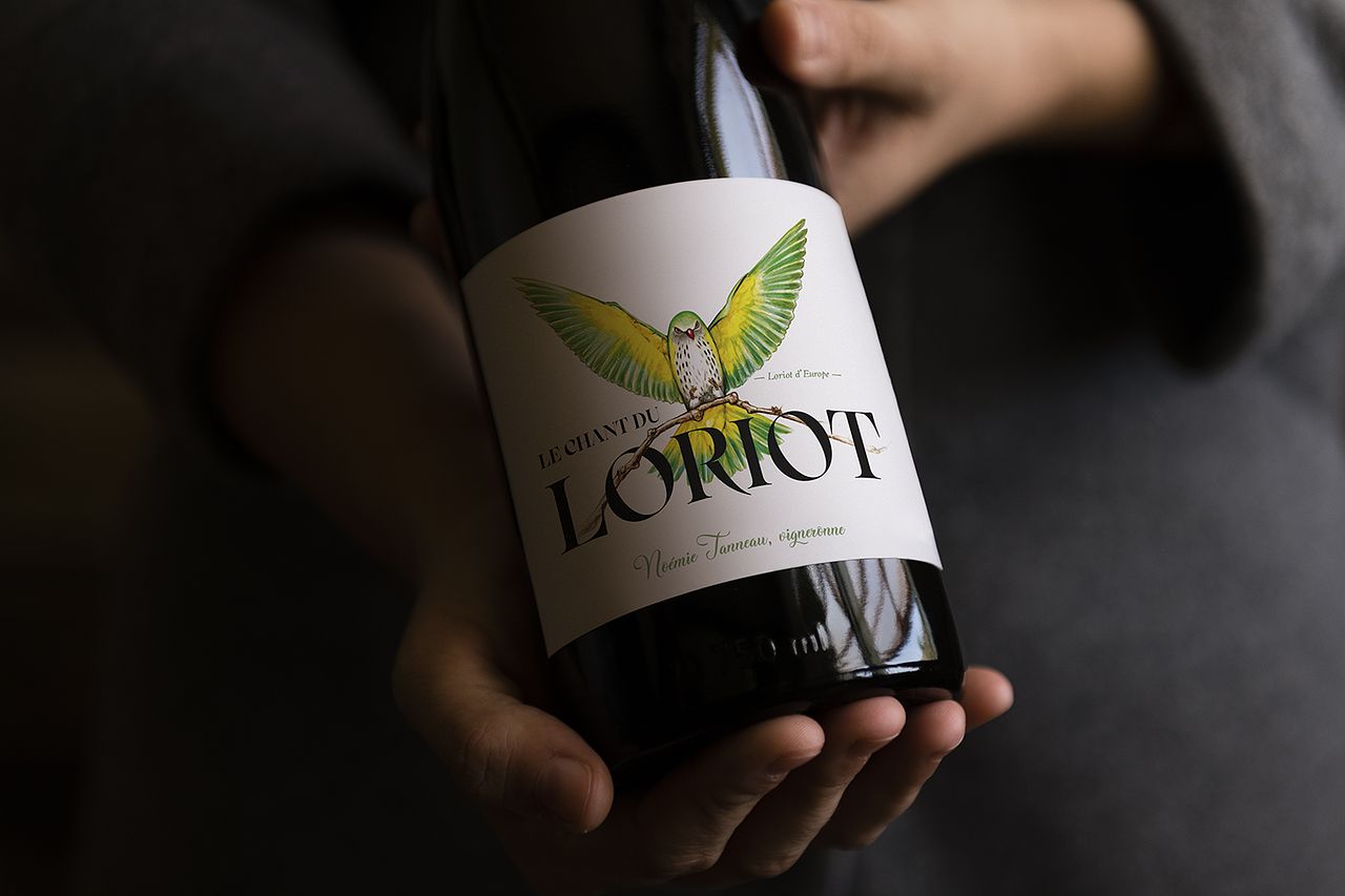 Le chant du Loriot