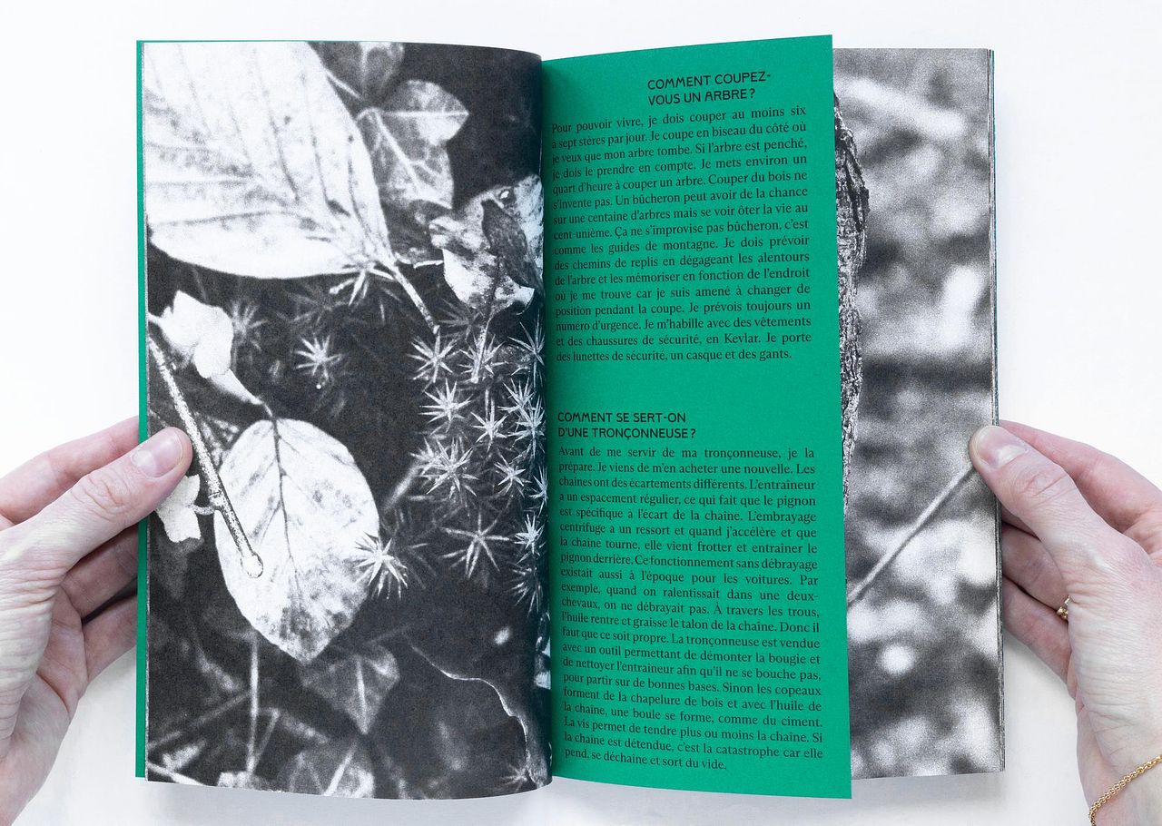 Au cœur de la forêt