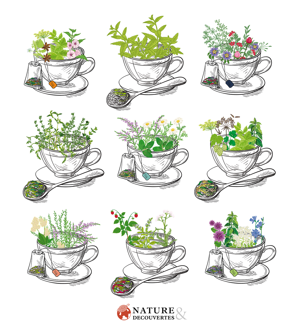 Tisanes - NATURE & DECOUVERTES
