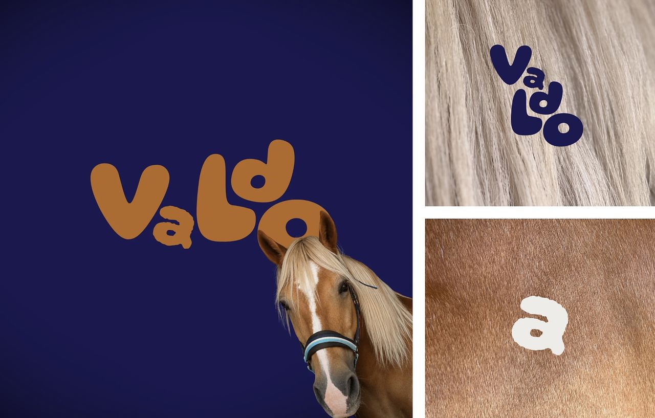 VALDO | Identité visuelle