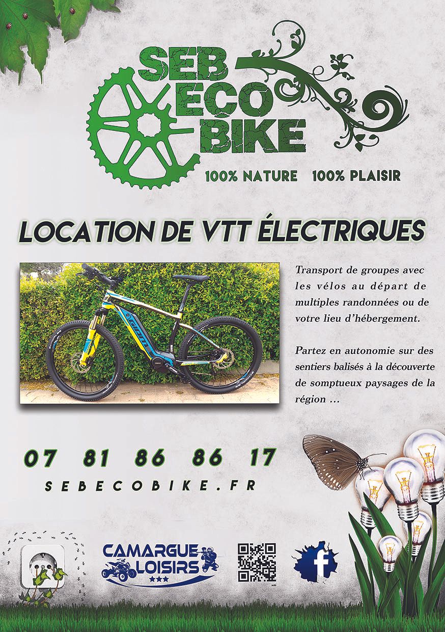 Flyer VTT Electrique