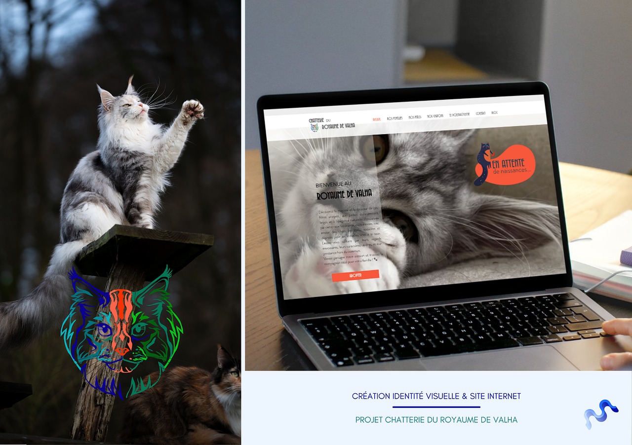 Création de site web CHATTERIE DU ROYAUME DE VALHA