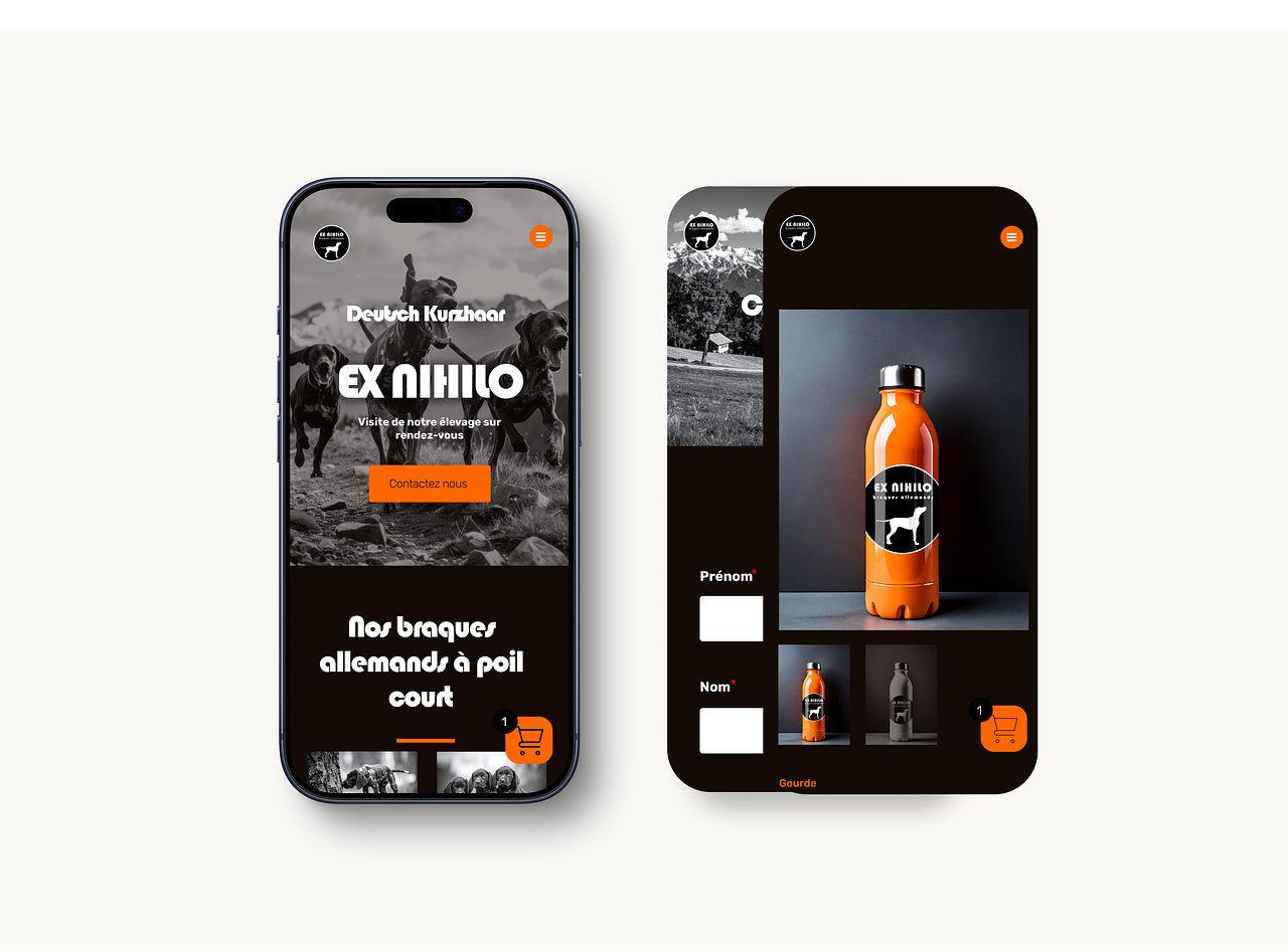 Identité de Marque & Écosystème Digital Ex Nihilo