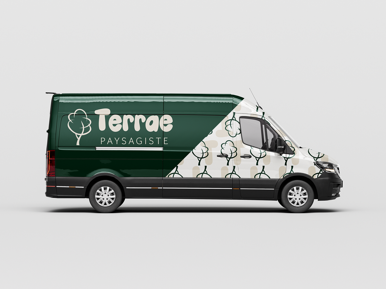 Terrae