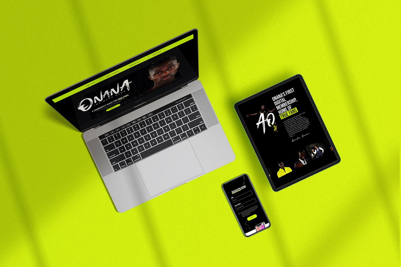 Site web - Amadou Onana