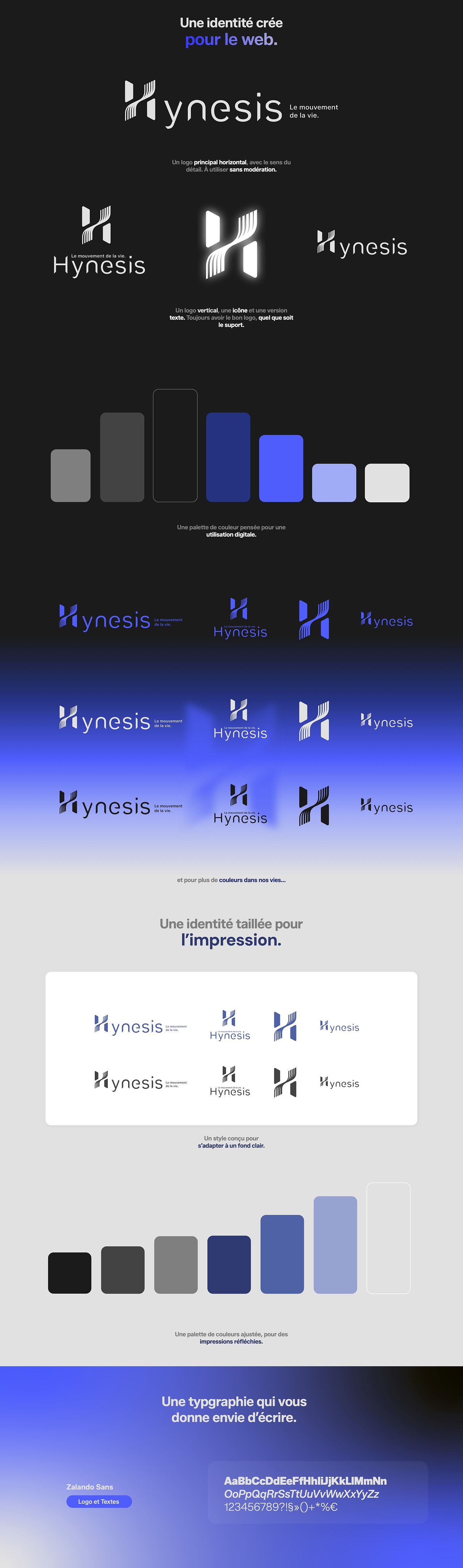 Identité visuelle Hynesis