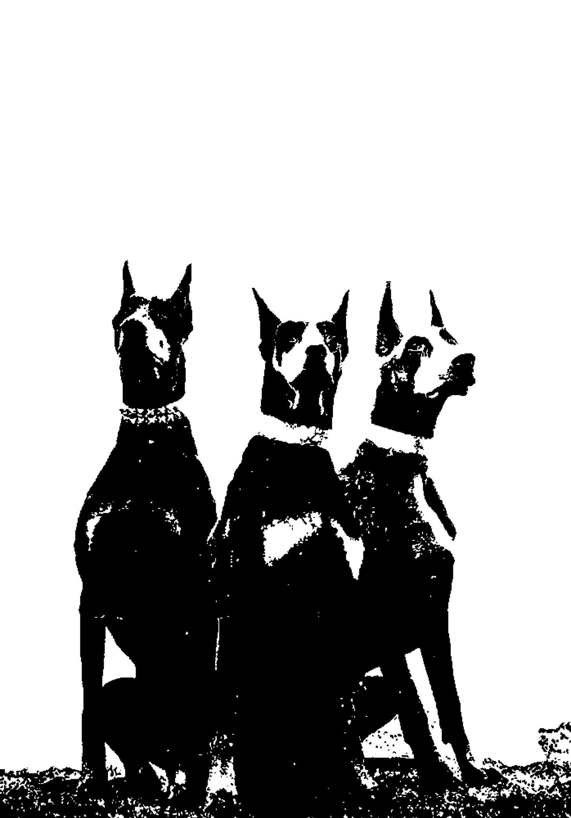 Illustration dog