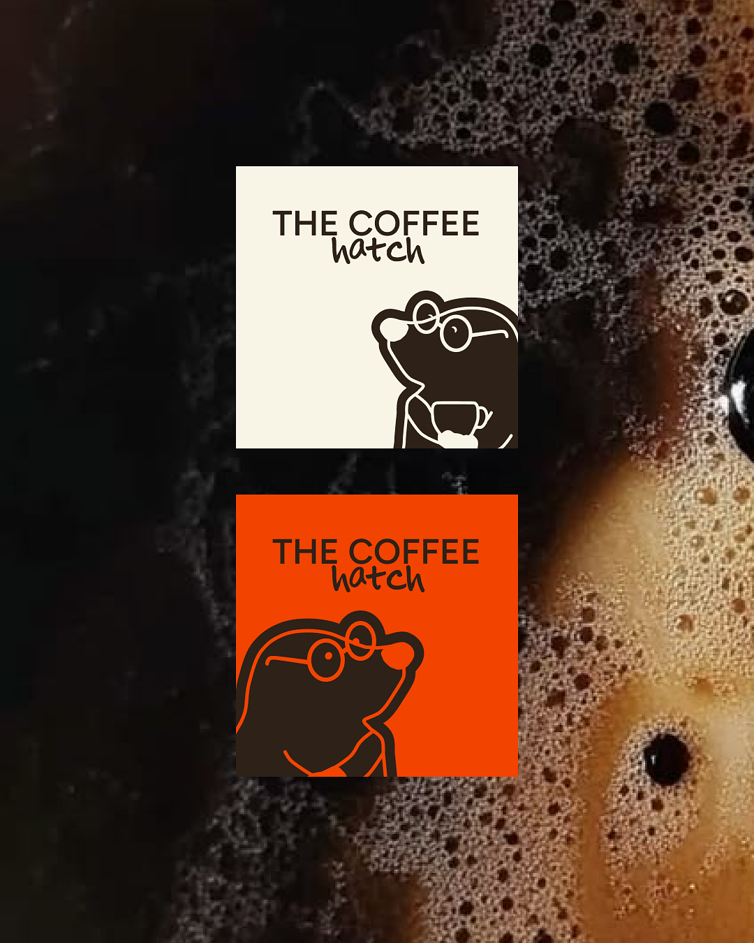 THE COFFEE HATCH | Coffee shop