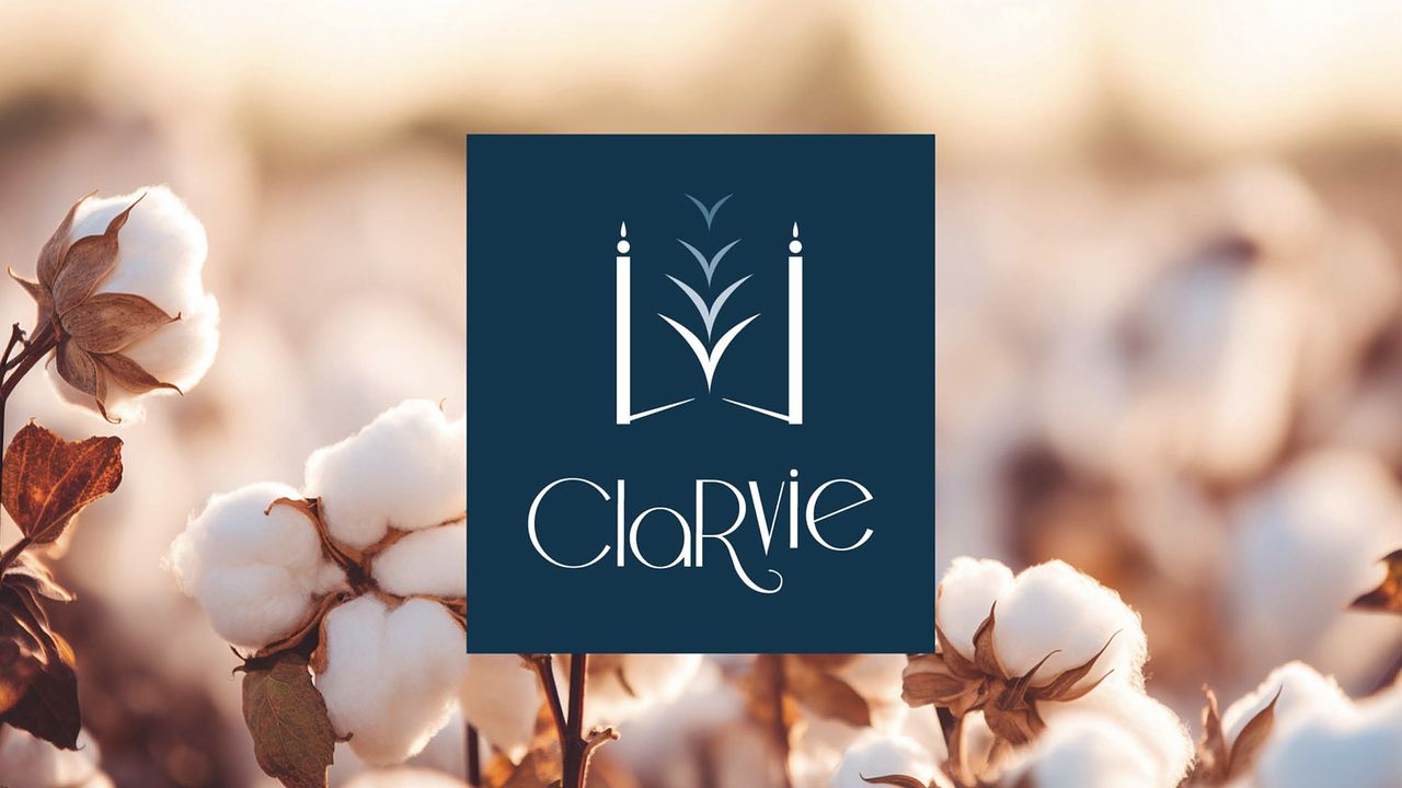 Clarvie - Identité de marque