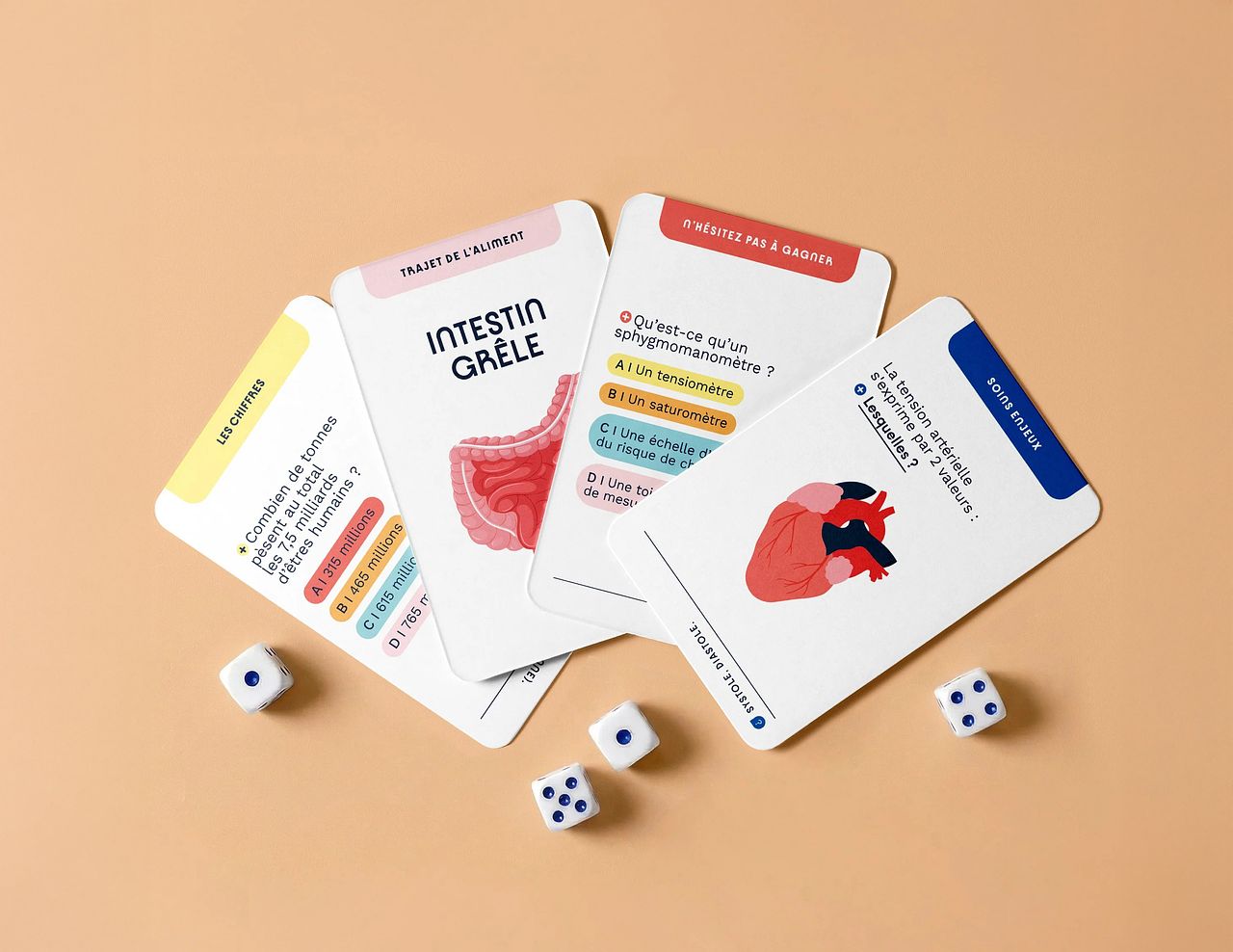 Projet / Soigne tes révisions