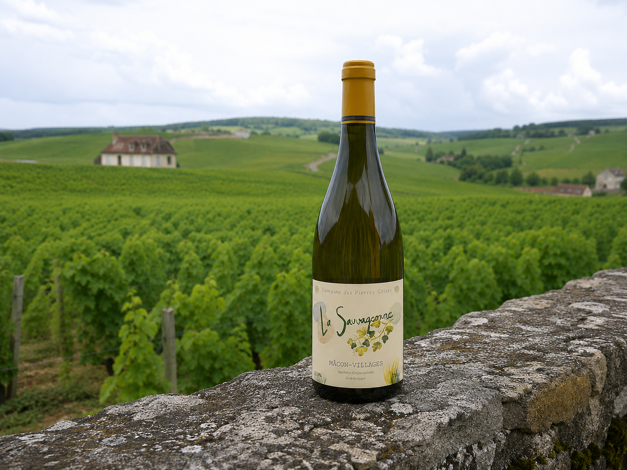 La Sauvageonne