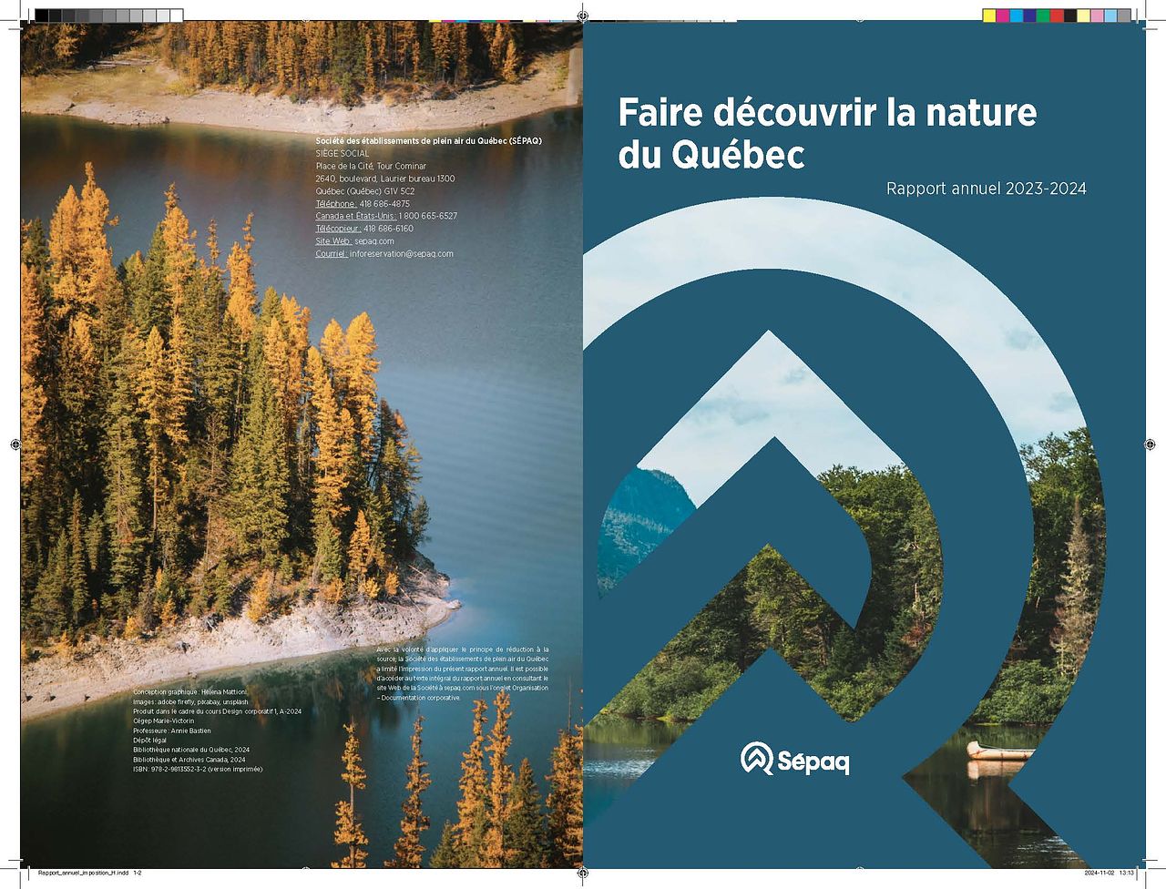 Rapport annuel fictif