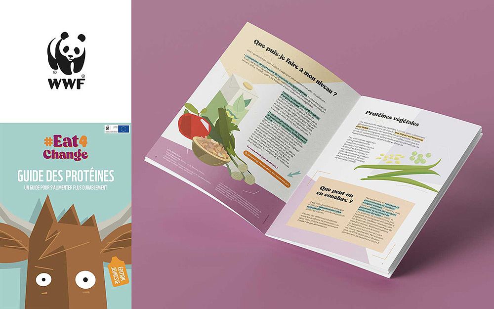 Illustration et mise en page
