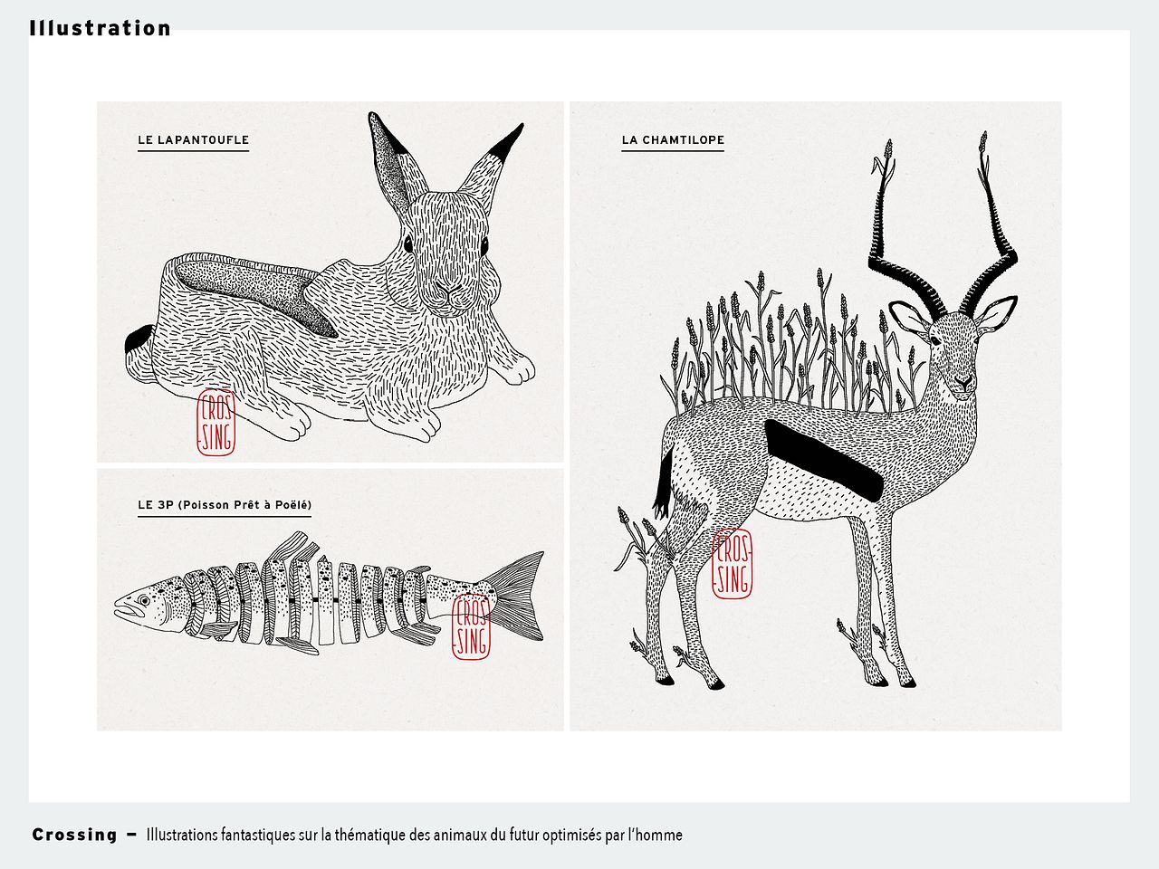 Illustration