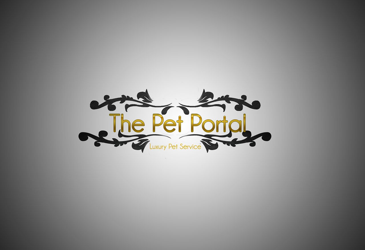 Logo pour soins canin
